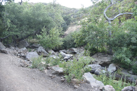 Enlarge photo 129