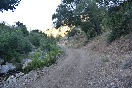 Enlarge photo 130