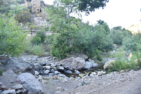 Enlarge photo 131