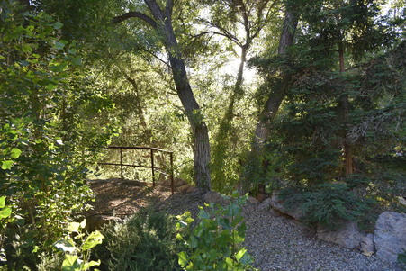 Enlarge photo 145