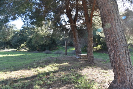 Enlarge photo 2