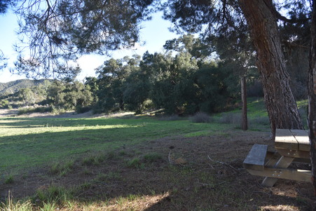Enlarge photo 3