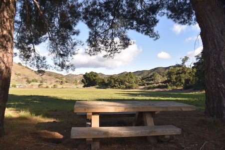 Enlarge photo 4