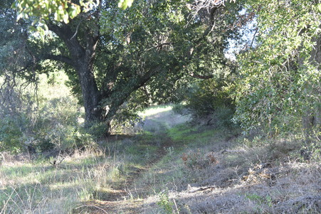 Enlarge photo 11