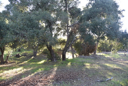 Enlarge photo 17