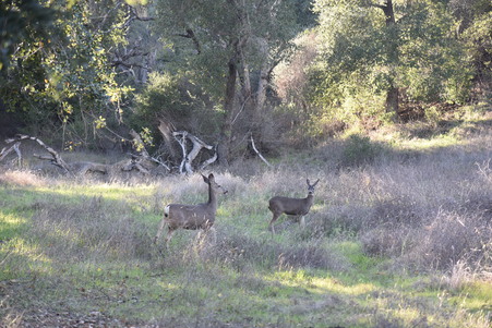 Enlarge photo 18