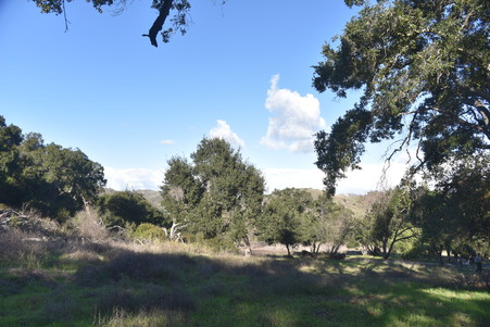 Enlarge photo 25
