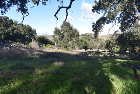 Enlarge photo 26