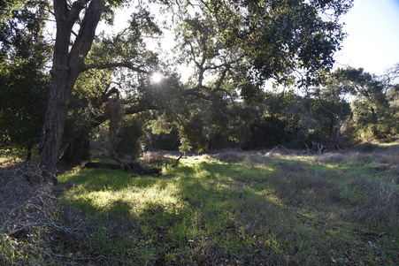 Enlarge photo 27