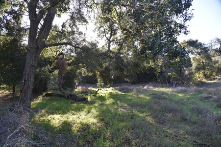 Enlarge photo 28