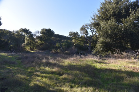 Enlarge photo 29