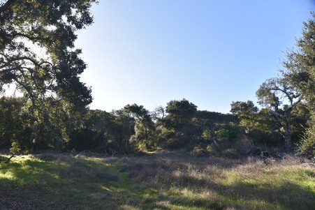Enlarge photo 30