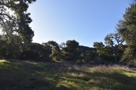Enlarge photo 31