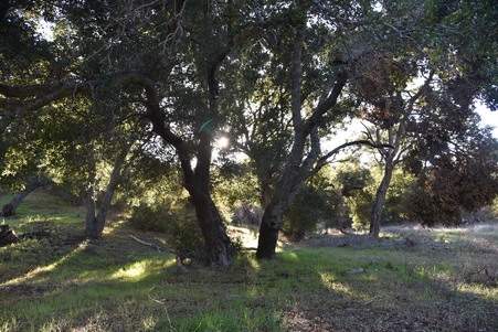 Enlarge photo 32