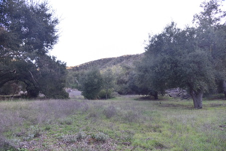 Enlarge photo 34