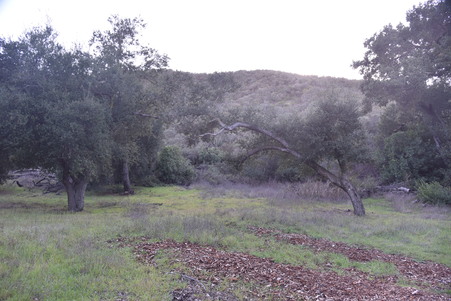 Enlarge photo 33