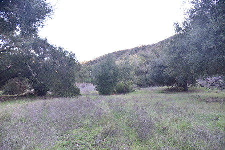 Enlarge photo 35