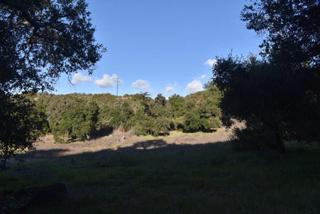 Enlarge photo 36