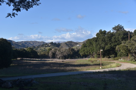 Enlarge photo 39