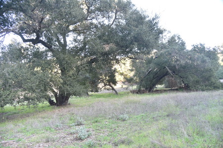 Enlarge photo 40
