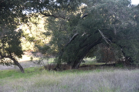 Enlarge photo 41