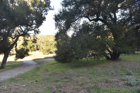 Enlarge photo 42
