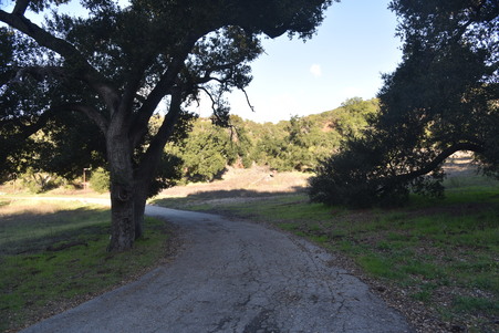 Enlarge photo 43