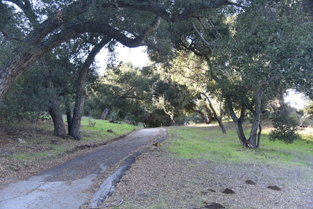Enlarge photo 44