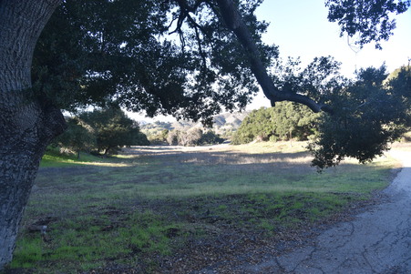 Enlarge photo 45