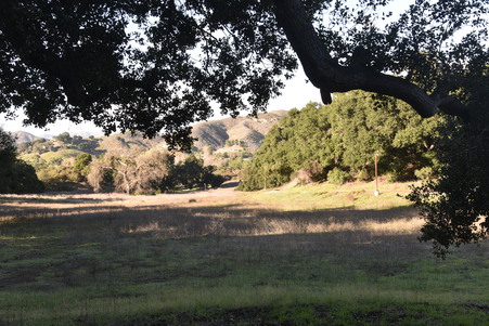 Enlarge photo 46