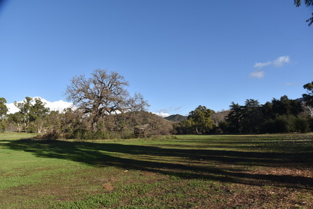 Enlarge photo 47