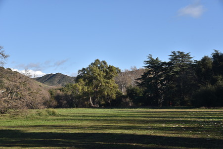 Enlarge photo 48