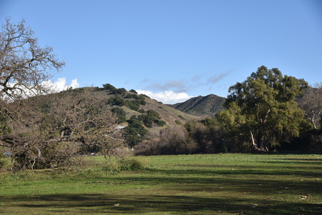 Enlarge photo 49