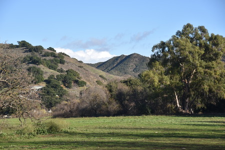 Enlarge photo 50