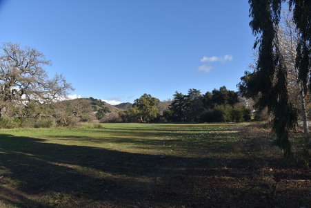 Enlarge photo 51