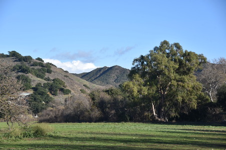Enlarge photo 52
