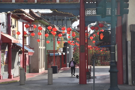 Enlarge photo 55