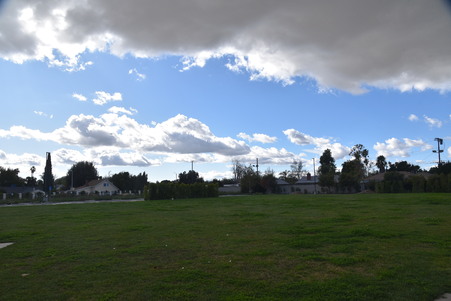 Enlarge photo 47