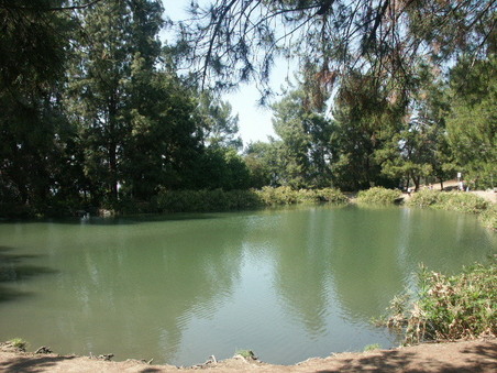 Enlarge photo 6