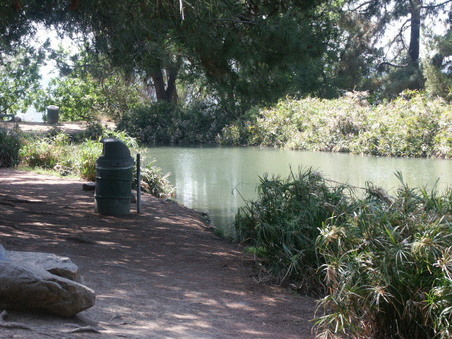 Enlarge photo 8