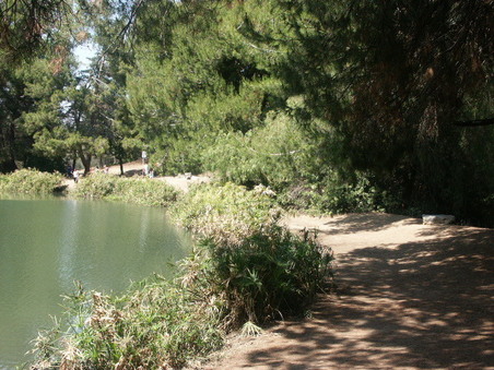 Enlarge photo 9