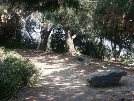 Enlarge photo 14