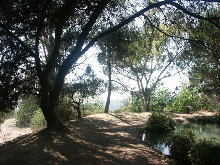 Enlarge photo 23