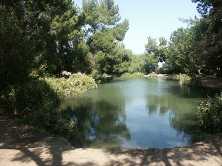 Enlarge photo 26