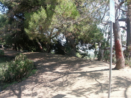 Enlarge photo 28