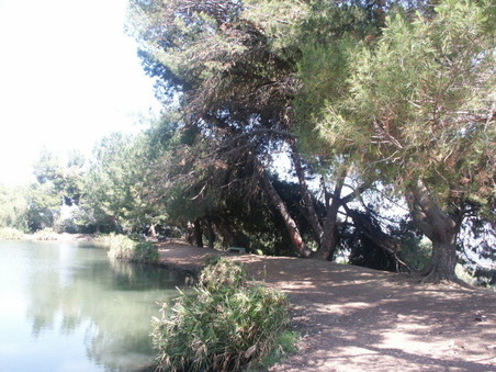 Enlarge photo 30