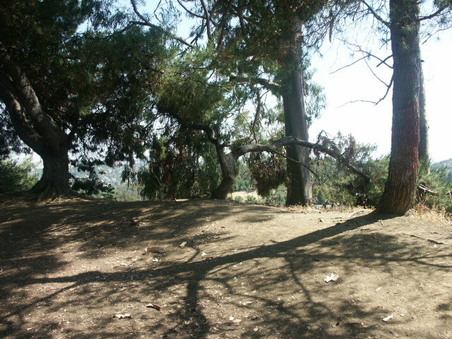 Enlarge photo 35