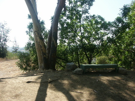 Enlarge photo 37