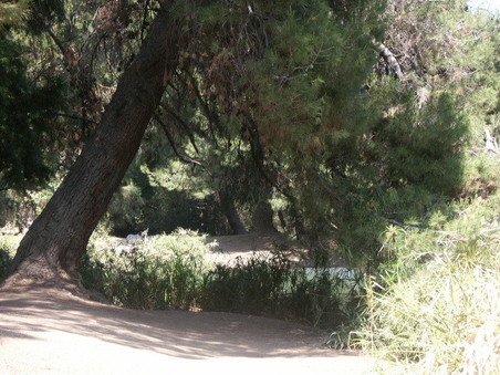 Enlarge photo 39
