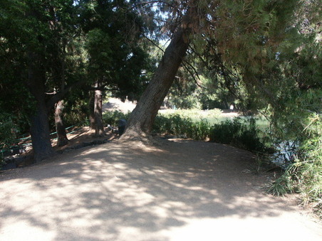 Enlarge photo 40